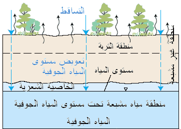 Diagram showing how precipitation seeps into the ground. 