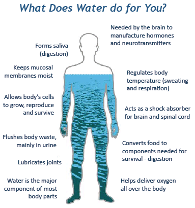 Why Does Water Help Skin 10