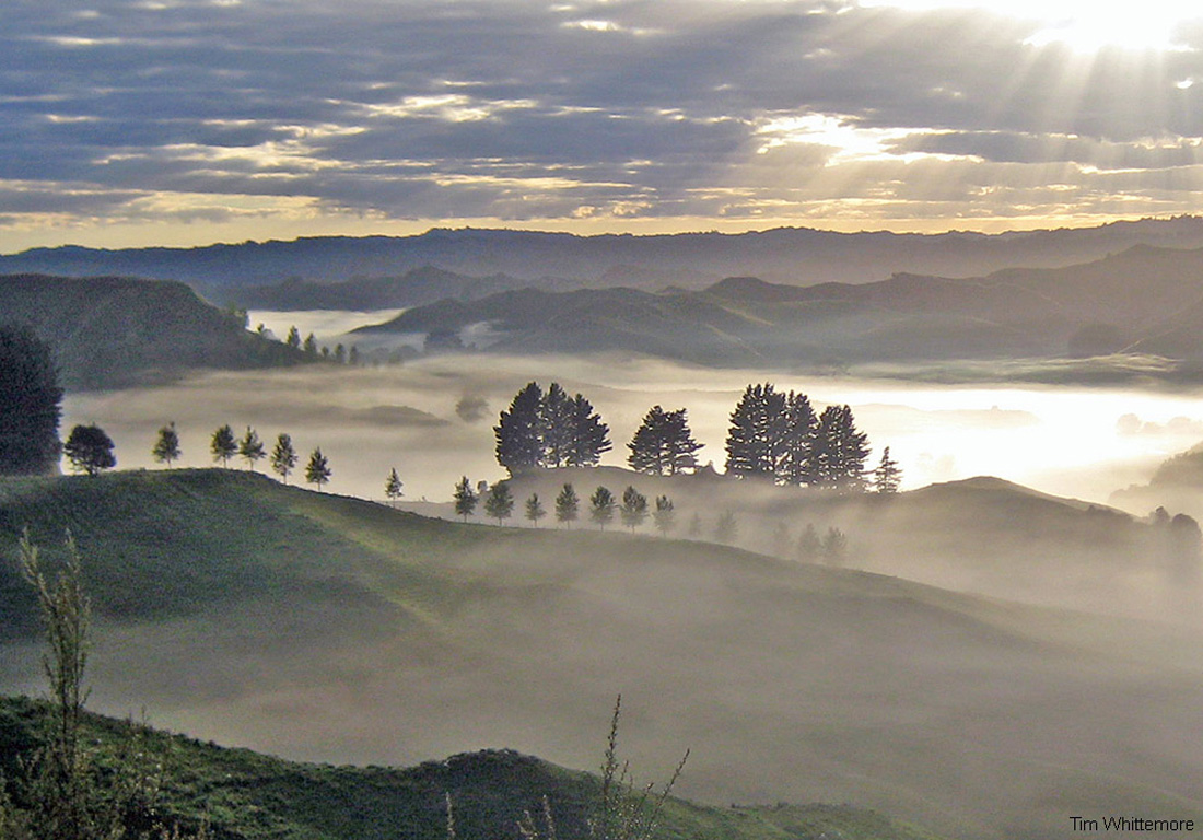 Early morning fog layer filling a valley in New Zealand.