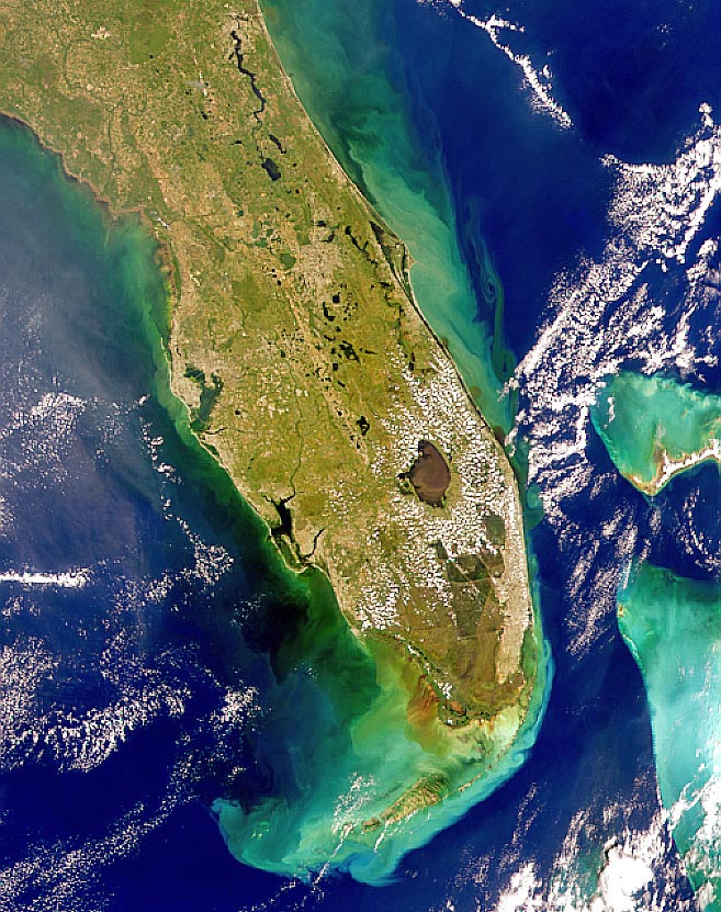 Florida, Oct. 14, 1999. When Hurricane Irene passed over Florida in 1999, the heavy rainfall over land caused extensive amounts of runoff that first entered Florida's rivers which then dumped the runoff water, containing lots of sediment, into the Atlantic Ocean.  Credit:NASA