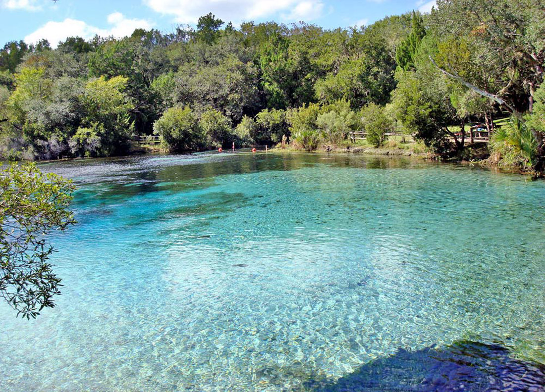 Silver Glen Springs, in the Ocala National Forest, Florida (Credit: Galina and Georgi Stanev).