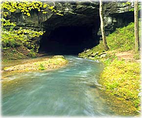 Picture of a stream disappearing into a cave in southern Georgia, USA shows that a stream can act as a direct funnel right into groundwater.