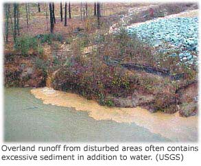 Picture showing sediment-filled runoff from a road running into a creek during a rainstorm.