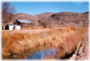 Surface drain receiving gravity drainage from cropland in the Rio Grande Valley near Derry, New Mexico (photograph by Lee Lewis). 