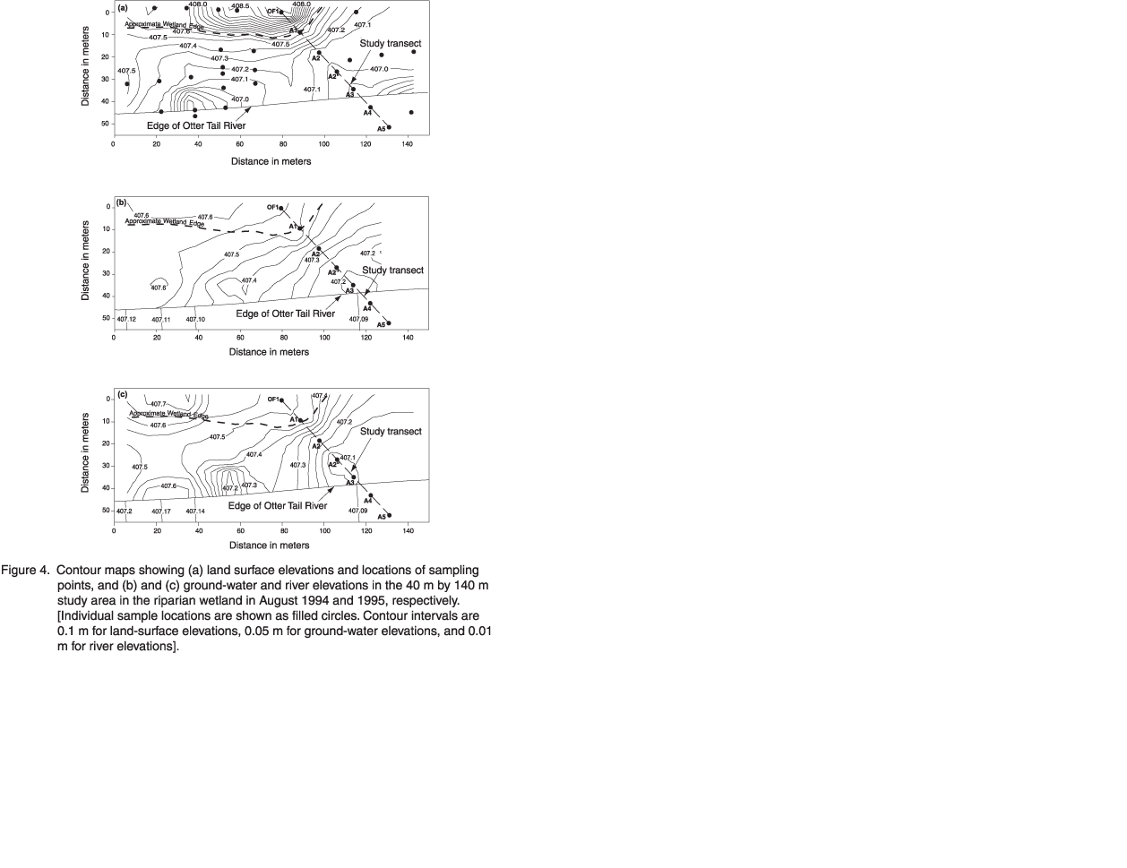 Contour maps showing (a) land surface elevations and
locations of sampling points, and (b) and (c) ground-water and river elevations
in the 40 m by 140 m study area in the riparian wetland in August 1994 and 1995,
respectively.