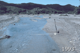 Pinal Creek 1993