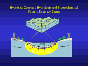 Hyporheic zone image
