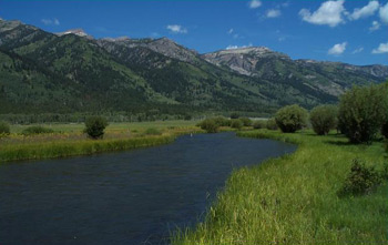  [Figure 1 - Photo: Fish Creek, near Jackson Hole, Wyoming.] 