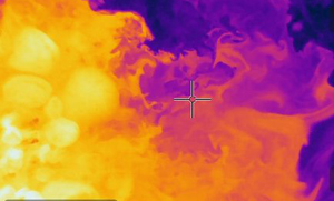  [Thermal image indicates water temperature, where warmer temperatures are represented as yellow and cooler temperatures as purple.] 