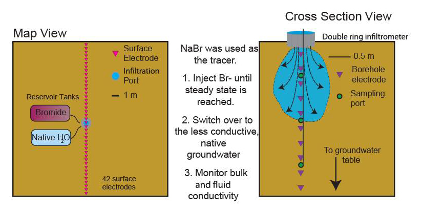  [Figure: conceptual setup of the infiltration/tracer experiment] 