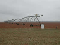  [Photo: Center pivot springler irrigation in Cochran County, Texas ] 