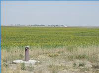 [Photo: Monitoring well completed in Denver Formation east of Denver, Colorado. ] 