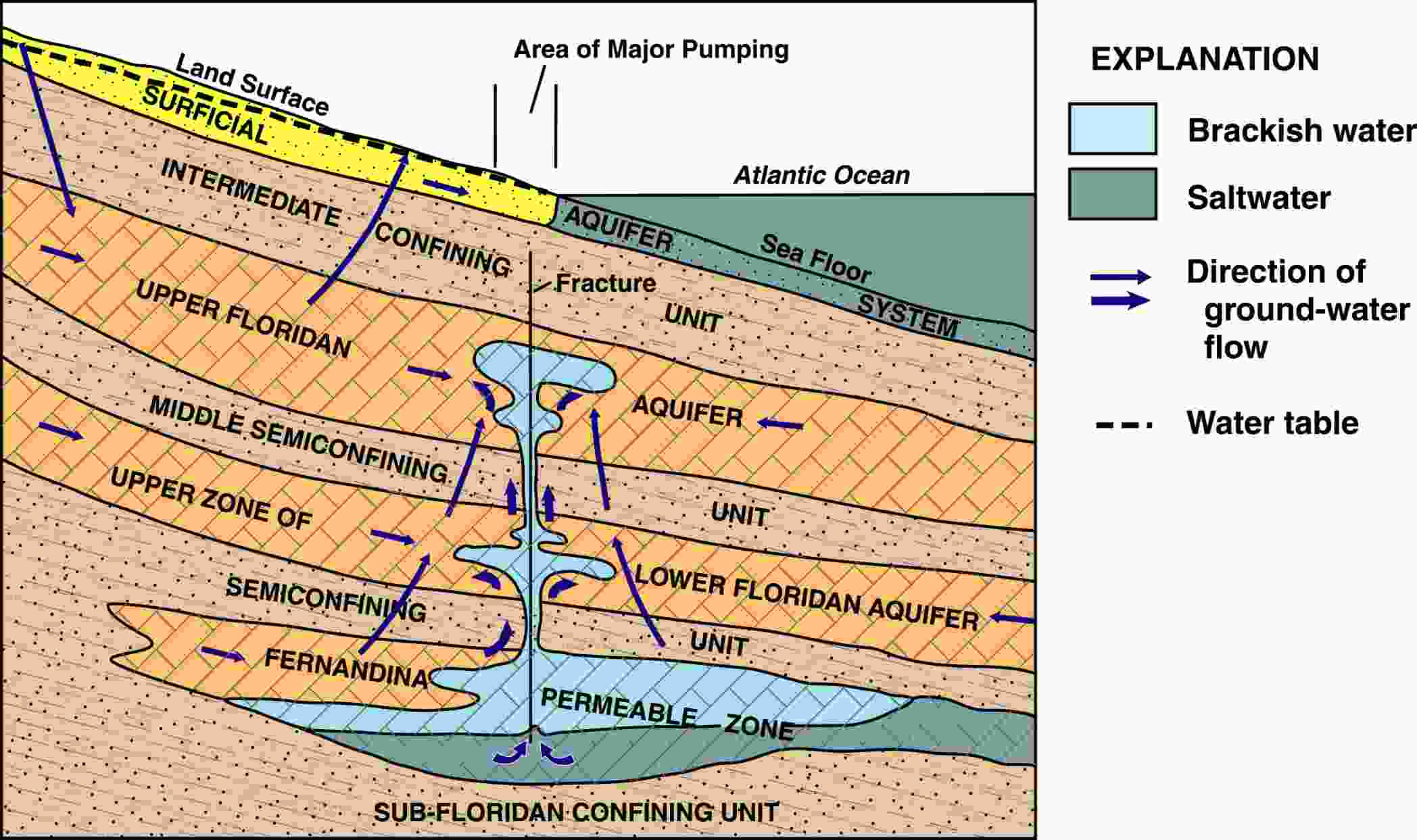 Vertical movement of saline water in the Floridan aquifer system