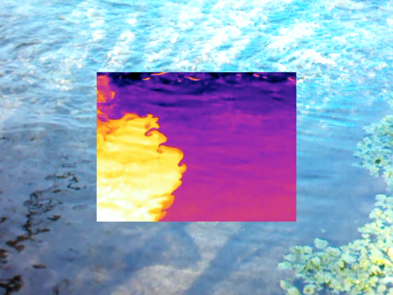  [Thermal infrared image inset in a photograph of stream] 