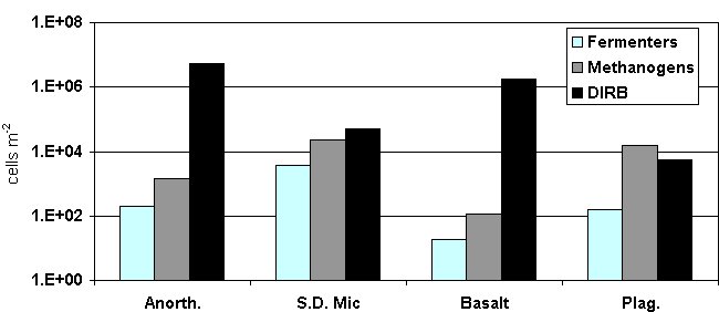 Figure 3.  Results from MPN analysis of silicate chips from in situ microcosms.  Biomass is dominated by DIRB on most surfaces and is most apparent on Fe-bearing silicates like anorthoclase (4.4 % Fe2O3) and basalt (14.0 % Fe2O3).