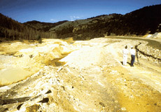 Photo of tailings deposited in the valley of High Ore Creek.