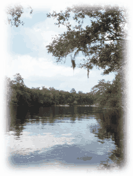 Photo of the Suwannee River