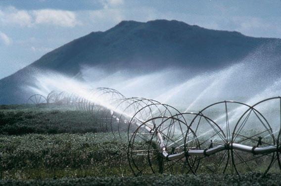 photo showing a field being watered