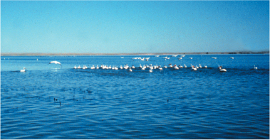 Photo showing Jackson Reservoir during summer. Offstream reservoirs in the lower South Platte River Basin provide habitat for a variety of birds. 