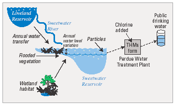 Figure 3. Four potential sources of trihalomethane (THM)-forming natural organic carbon to Sweetwater Reservoir