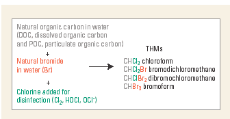 Figure 4. Reaction of natural organic carbon and bromide with chlorine added during water-treatment forms trihalomethanes (THMs).