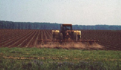 Photo of tractor in field