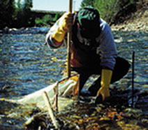Photograph showing scientist collecting aquatic biota samples.