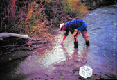 Photograph showing bed-sediment sample collection.