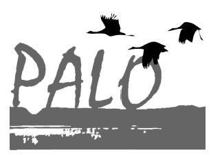 logo for City of Palo