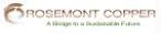 logo for Rosemont Copper Company - JV