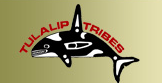 logo for Tulalip Indian Tribe