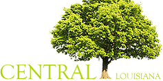 logo for City of Central
