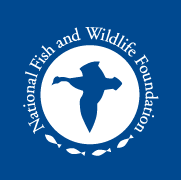 logo for National Fish and Wildlife Foundation
