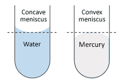 meniscus-types.gif