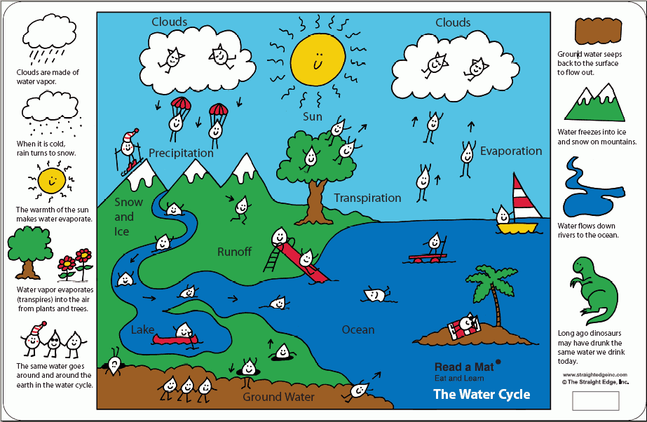 The water cycle placemat for kids.