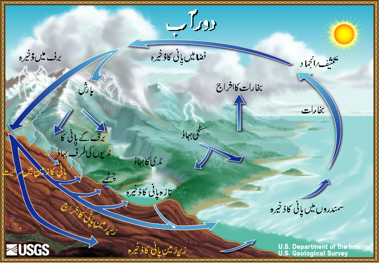 Saline Water Meaning In Urdu