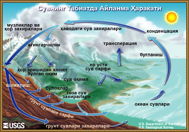 Сувнинг Табиатдаги Айланма Ҳаракати Диаграммаси (The Water Cycle, in Uzbek). 