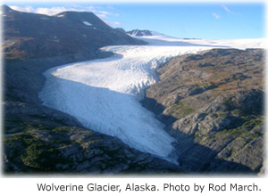 glacier glaciers water usgs icecaps freshwater alaska wolverine information big school gov edu