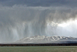 montana precipitation totals