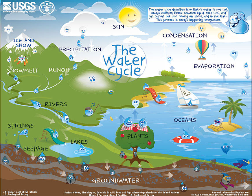 Interactive Water Cycle Diagram For Kids Beginner 