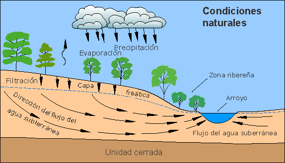 Diagrama que muestra el flujo del agua subterránea hacia un arroyo durante condiciones normales. 