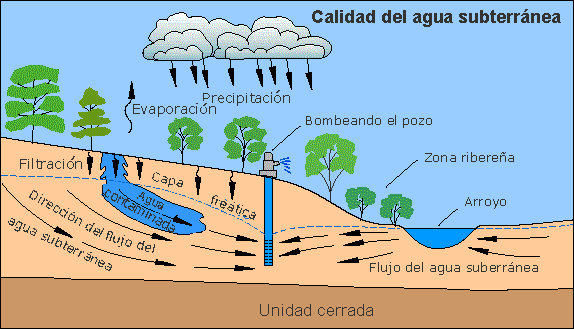 Diagrama que muestra agua subterránea fluyendo hacia un arroyo y que posiblemente también acarrea agua contaminada de los campos cercanos. 
