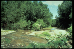 2-stream_habitat
