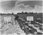 chapter2_TVA_Results_of_Fertilizer