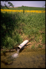 image40