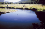 sampling_RMNP