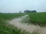 fieldflow193