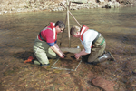 collecting_inverts