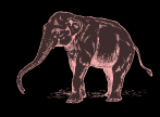 trace elephants (pink, no less)