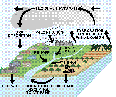 harmful effects of pesticides on environment